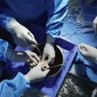 TAVI Skill Enhancement 12