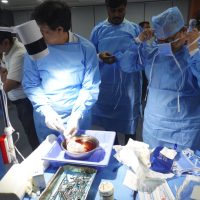 TAVI Skill Enhancement 16