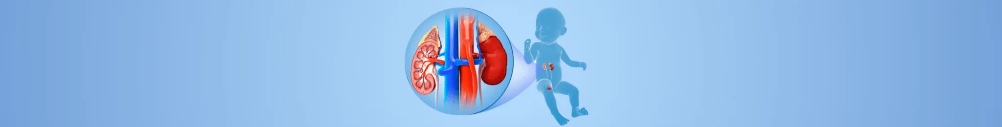 Paediatric Urology Treatment in Ahmedabad